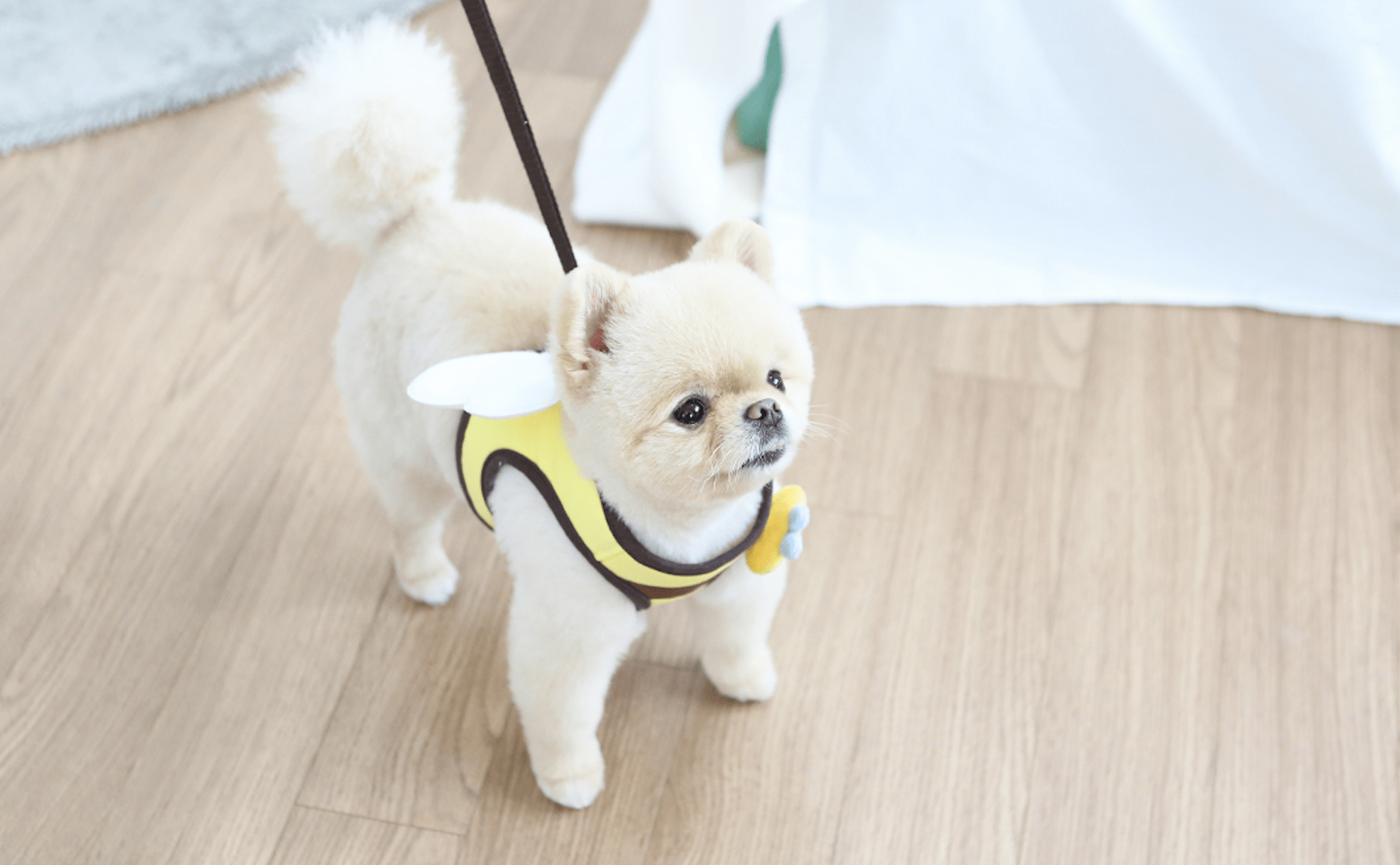 Bee harness - Image 4