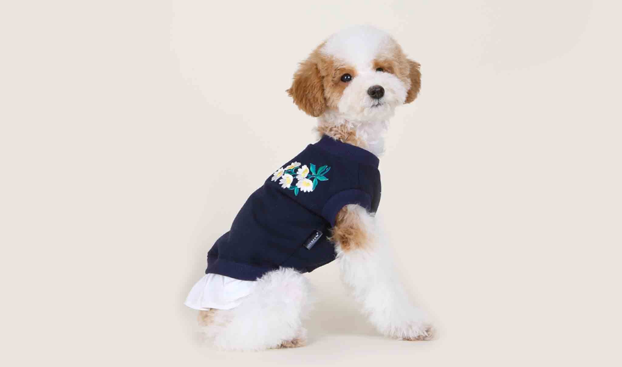 T-shirt daisy perfume - Image 2