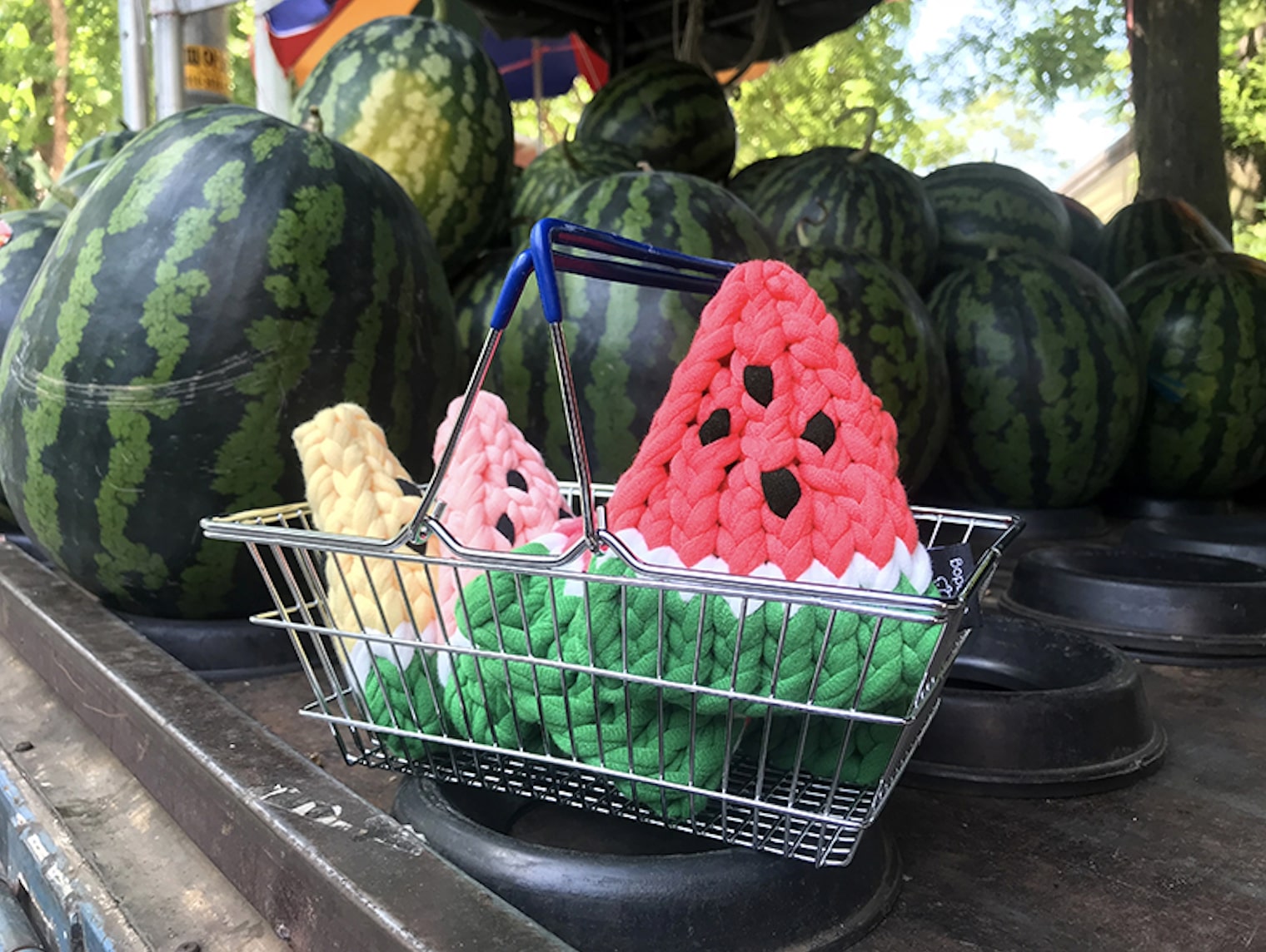 Watermelon - Image 2